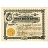 Image 1 : IL. National School of Railroads, 1907, I/U Stock Certificate.
