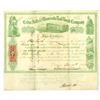 Image 1 : IA. Cedar Falls & Minnesota Rail Road Co., 1865, I/C Stock Certificate.