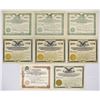 Image 1 : TN. Lewisburg & Northern Railroad Co., 1910 to 1935 Lot of 8 I/C Stock Certificates.