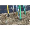 Image 2 : Tree trimming implements