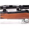 Image 11 : Non-Restricted rifle Winchester model 70XTR, .30-06 Spring bolt action, w/ bbl length 24" [Blued bar