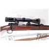 Image 2 : Non-Restricted rifle Winchester model 70XTR, .30-06 Spring bolt action, w/ bbl length 24" [Blued bar