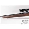 Image 10 : Non-Restricted rifle Carl Gustaf model 1904, 6.5X55 bolt action, w/ bbl length 23" [Blued barrel and