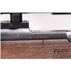 Image 12 : Non-Restricted rifle Carl Gustaf model 1904, 6.5X55 bolt action, w/ bbl length 23" [Blued barrel and
