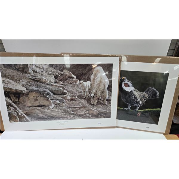 2 unframed Duck Unlimited limited edition prints including Front Row Seats by Glen Olson 174/3000 an
