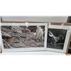 Image 1 : 2 unframed Duck Unlimited limited edition prints including Front Row Seats by Glen Olson 174/3000 an