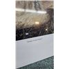 Image 6 : 3 unframed limited edition prints including "Hunters Lights" by Des McCaffery 496/950, "Summer Coyot