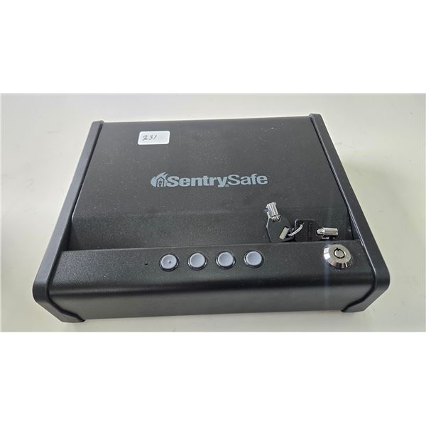 Sentry locking hand gun case/safe