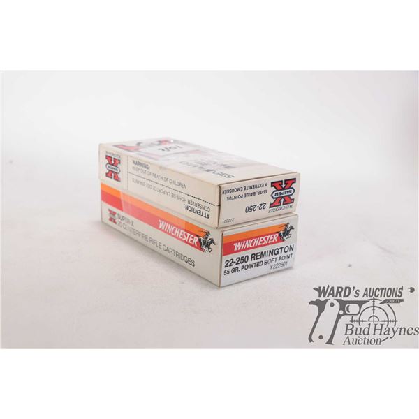 Two full 20 count boxes Winchester 22 .250 55 gr pointed soft point