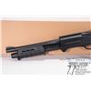 Image 8 : Non-Restricted shotgun DM ARM model Tri-fold pump action, 12 ga. 3 " pump action, w/ bbl length 13" 