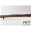Image 12 : Antique rifle Unknown model Tower, .7" at muzzle Single shot muzzle loading, w/ bbl length 39" [Tota