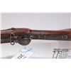 Image 21 : Antique rifle Unknown model Tower, .7" at muzzle Single shot muzzle loading, w/ bbl length 39" [Tota