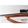 Image 13 : Non-Restricted rifle Remington model 271, 270 Win bolt action, w/ bbl length 24" [Blued barrel and r