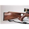 Image 3 : Non-Restricted rifle Savage model Mark II, 22 LR. bolt action, w/ bbl length 21" [Satin blued finish