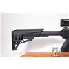 Image 3 : Non-Restricted rifle Ruger model 10/22, 22 LR ten shot semi automatic, w/ bbl length 18 1/2" [Blued 
