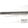 Image 8 : Non-Restricted shotgun MAS model Robust, 12 ga. 2 3/4" Two shot hinge break, w/ bbl length 27 1/2" [