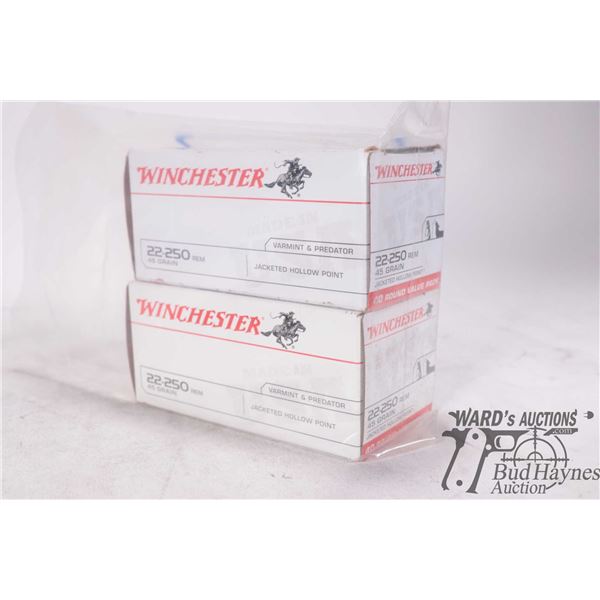 One full 40 count box and a partial 30 count box Winchester .22-250 REM 45 gr jacketed hollow point