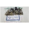 Image 1 : Two 75 count bags of .357 mag brass and two speed loaders