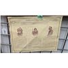 Image 2 : Vintage 1979 Speer bullet display with 100 different calibers and styles, labeled on verso ""Founder