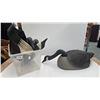 Image 1 : 5 Complete duck decoys and a spare body
