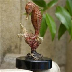 Sea Horse with Coral