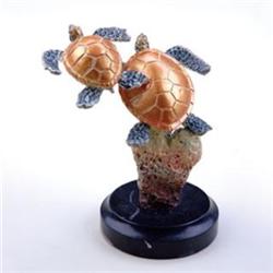 Small Sea Turtle Duo