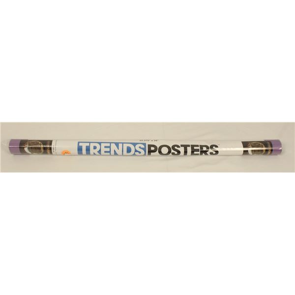 A Mandolorian The Child Poster.