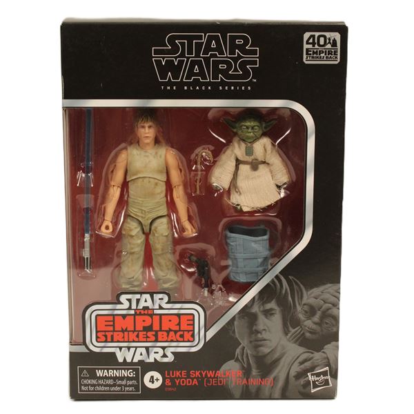 A Star Wars The Black Series The Empire Strikes Back Luke Skywalker and Yoda Action Figures.