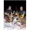 Image 7 : APR9 - MICHIGAN WHITETAIL DEER HUNT 2 HUNTERS