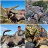 Image 10 : APR7 - SPANISH BIG GAME HUNT FOR 2 HUNTERS and 2 NON-HUNTERS