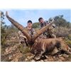 Image 6 : APR7 - SPANISH BIG GAME HUNT FOR 2 HUNTERS and 2 NON-HUNTERS
