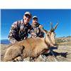 Image 7 : APR7 - SPANISH BIG GAME HUNT FOR 2 HUNTERS and 2 NON-HUNTERS