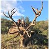 Image 9 : APR7 - SPANISH BIG GAME HUNT FOR 2 HUNTERS and 2 NON-HUNTERS