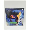 Image 1 : Lorde – Melodrama Vinyl Record