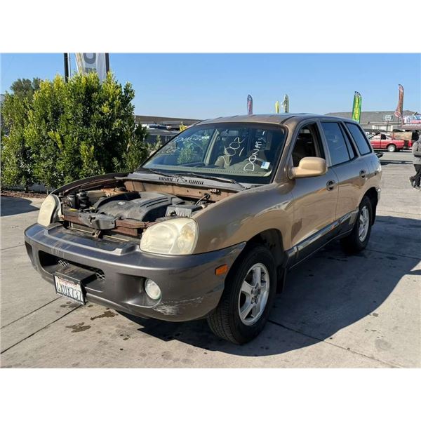 HYUN SANTA FE  2002 APP  DUP/T-DON