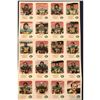 Image 2 : 1981 EDMONTON ESKIMOS RED ROOSTER SET - UNCUT SHEETS feat. WARREN MOON (HOF)