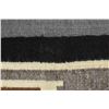 Image 8 : NAVAJO TEXTILE (FAY D BEGAY)