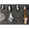 Image 11 : PREHISTORIC ARROW HEADS