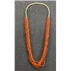 Image 1 : PUEBLO CORAL NECKLACE