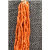 Image 6 : PUEBLO CORAL NECKLACE