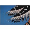 Image 5 : KIOWA/ APACHE PAINTING (DARWIN CABANISS TSOODLE)