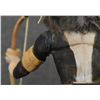Image 7 : HOPI KACHINA (RAYMOND CHEE)