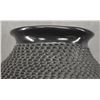Image 10 : MATA ORTIZ POTTERY OLLA (EFREN BETENCOURT PEREZ)