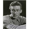 Image 1 : Peter O&rsquo;Toole