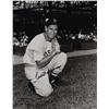 Image 1 : Ted Williams