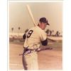 Image 2 : Ted Williams