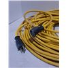 Image 2 : 100' Extension Cord