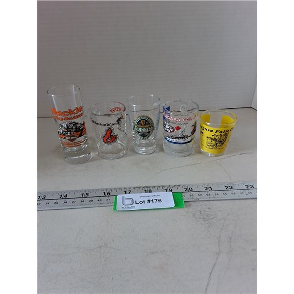 (5) Souvenir Shot Glasses