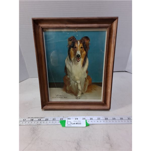 Vintage Framed 'Nestle Quik' Advertisement Featuring Lassie - 10" x 12"