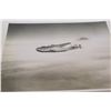 Image 4 : Classic Photograph Reprints 8x10”